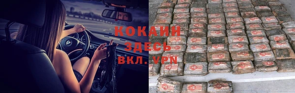 соль курить ск Алзамай