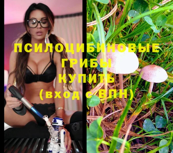 соль курить ск Алзамай