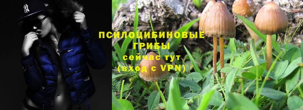 соль курить ск Алзамай